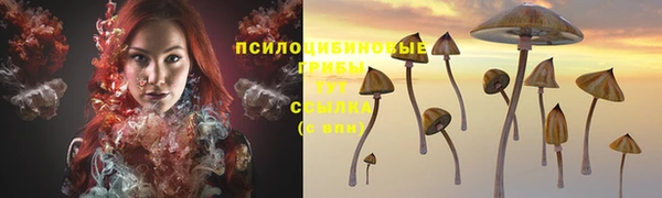 амфетамин Алексеевка
