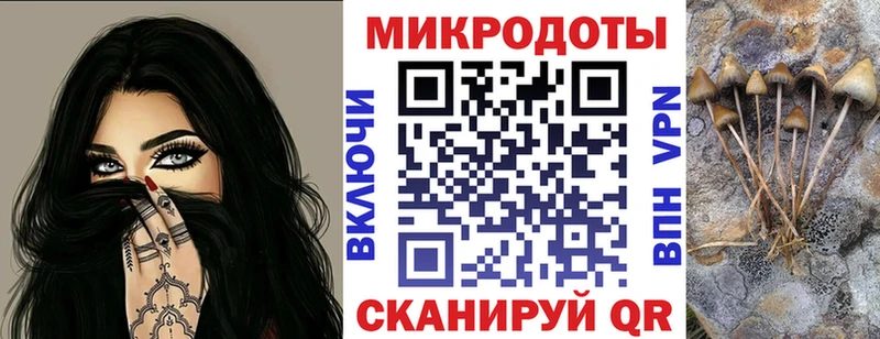 Галлюциногенные грибы мухоморы  Камызяк 