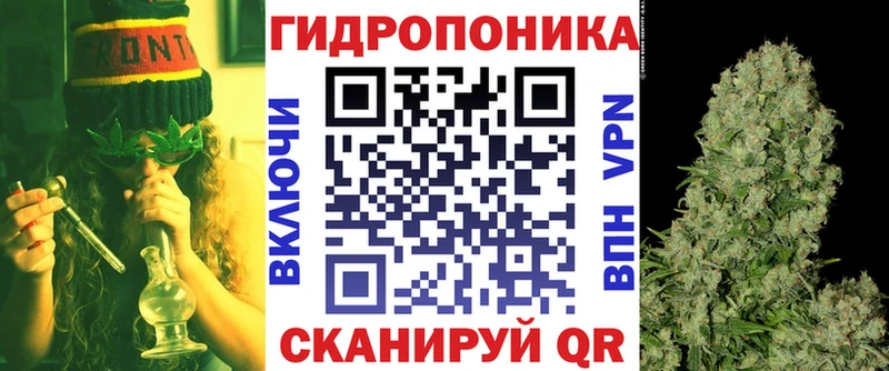 магазин    Камызяк  Марихуана ГИДРОПОН 